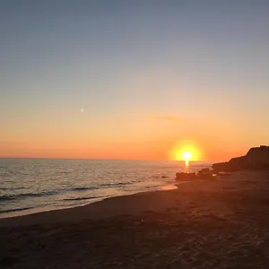 https://bb-oikos-selinunte.sicilyhotelsitaly.net